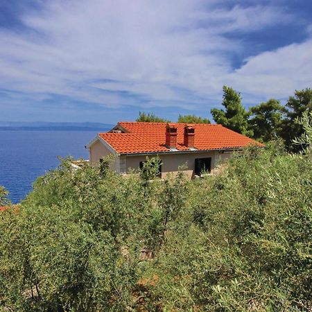 Gorgeous Apartment In Prigradica With Kitchen 外观 照片